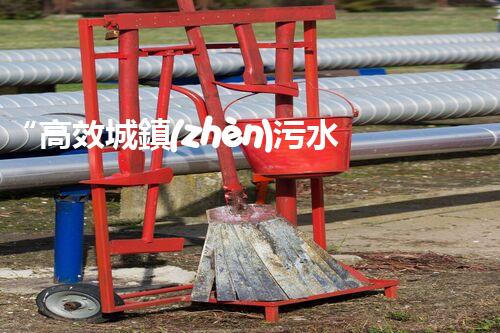 “高效城鎮(zhèn)污水處理流程，守護碧水藍天新篇章”